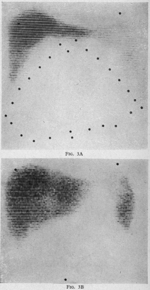 Fig. 3A and B