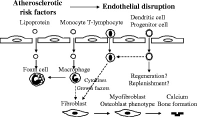 Fig. 2