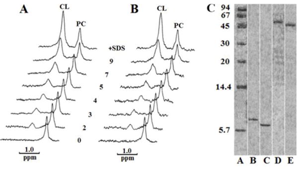 Fig. 5