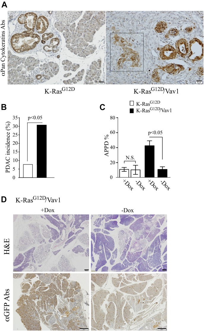 Fig 3.