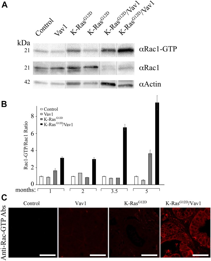 Fig 6.