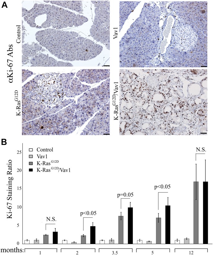 Fig 4.