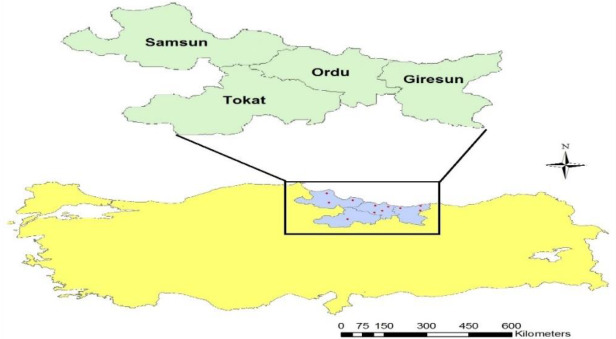 Figure 1