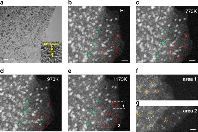 Fig. 7