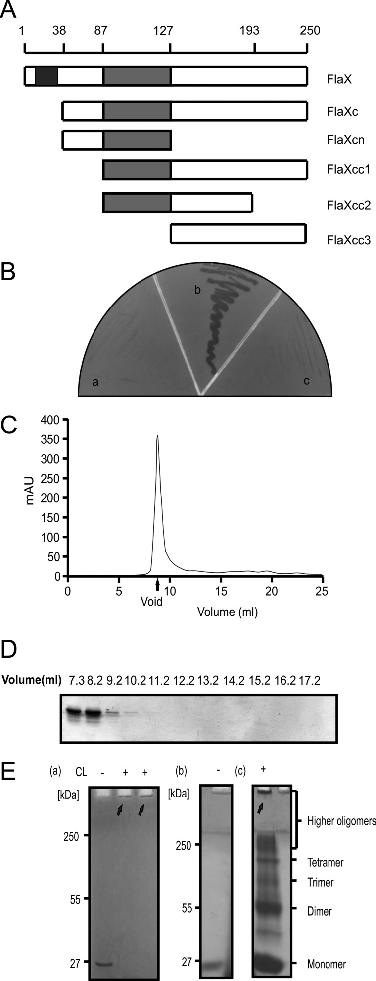 FIGURE 2.