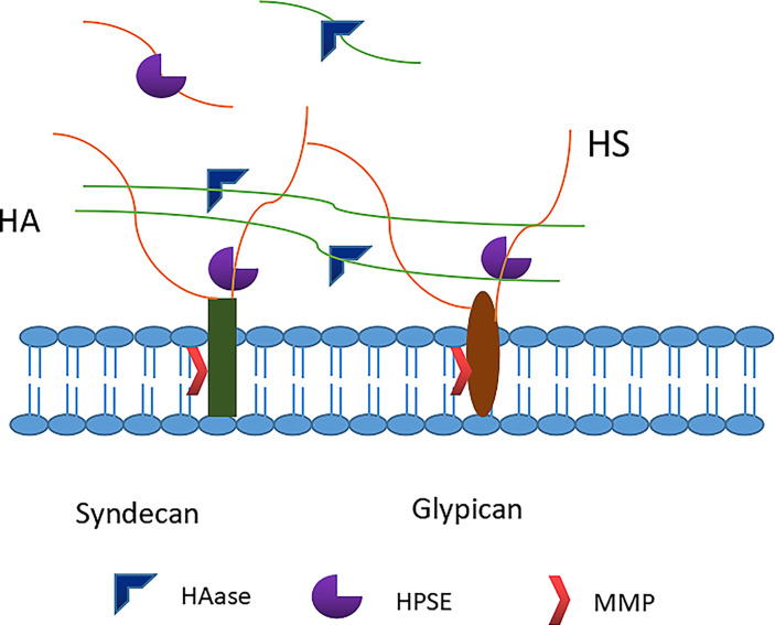 Figure 3