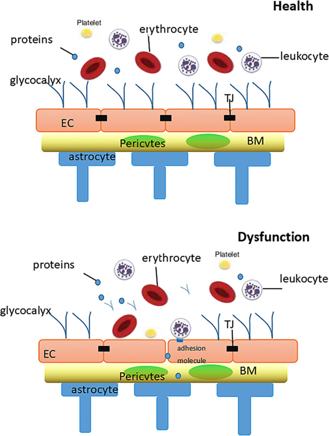 Figure 2