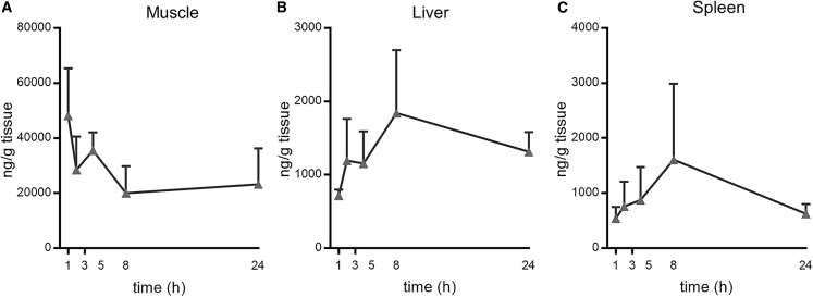 Figure 1