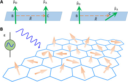 Fig. 9