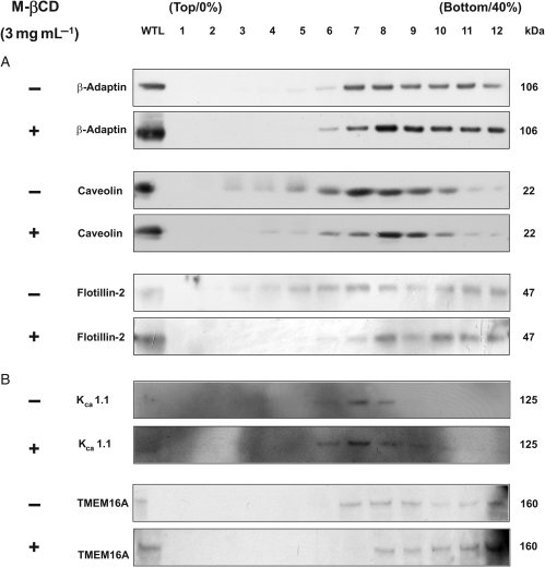 Figure 6