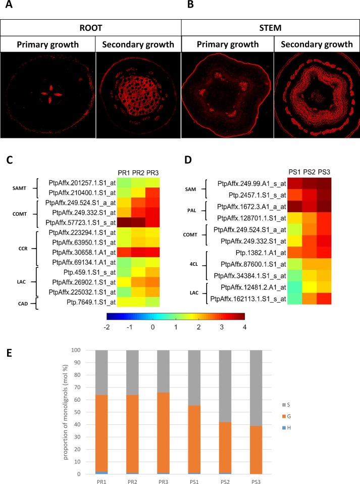 Figure 4