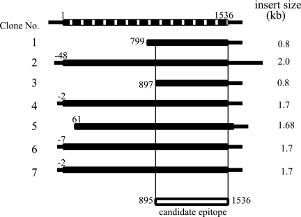 FIG. 1.