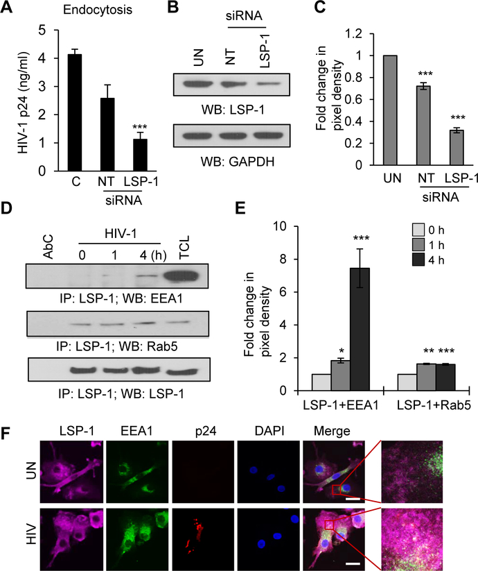 Figure 3: