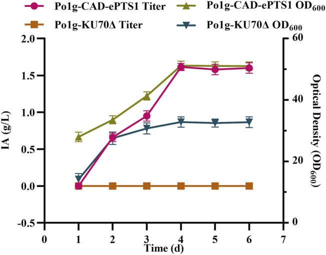 FIGURE 4