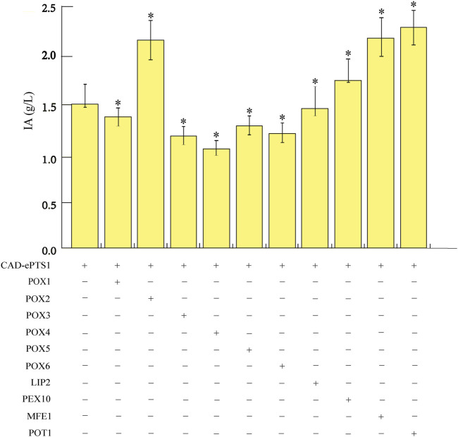 FIGURE 5