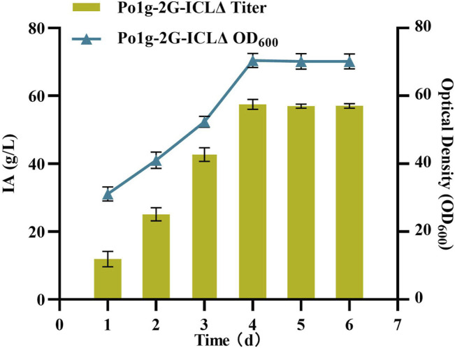 FIGURE 6