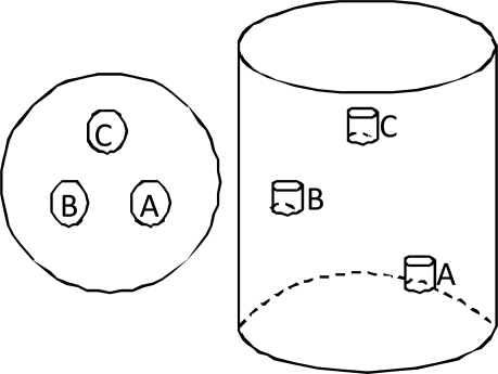 Fig. 5