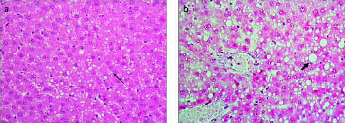 Figure 4 a, b.