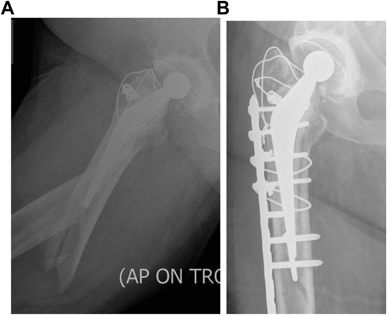 Fig. 5