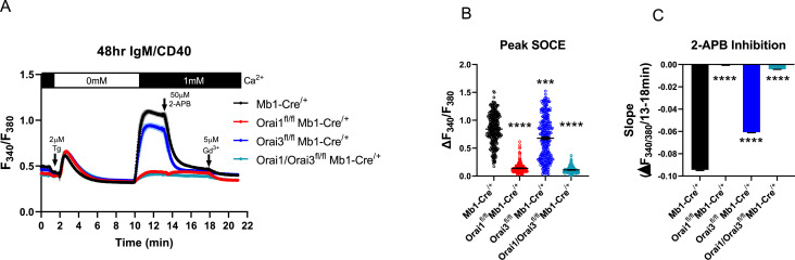 Figure 5—figure supplement 1.