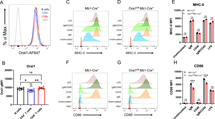 Figure 3—figure supplement 1.