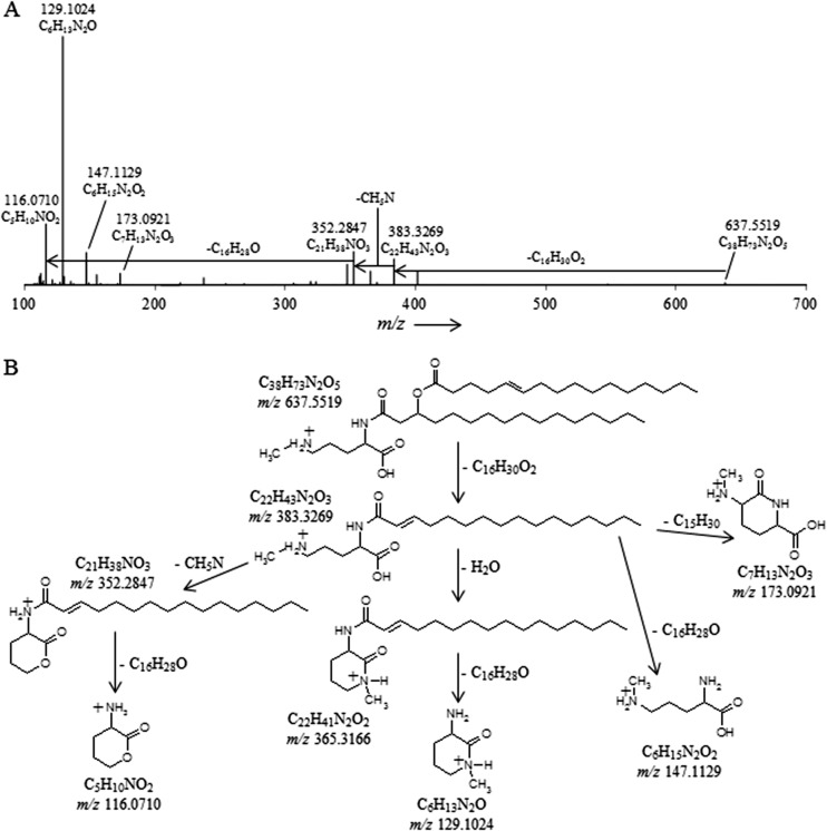 Fig 5