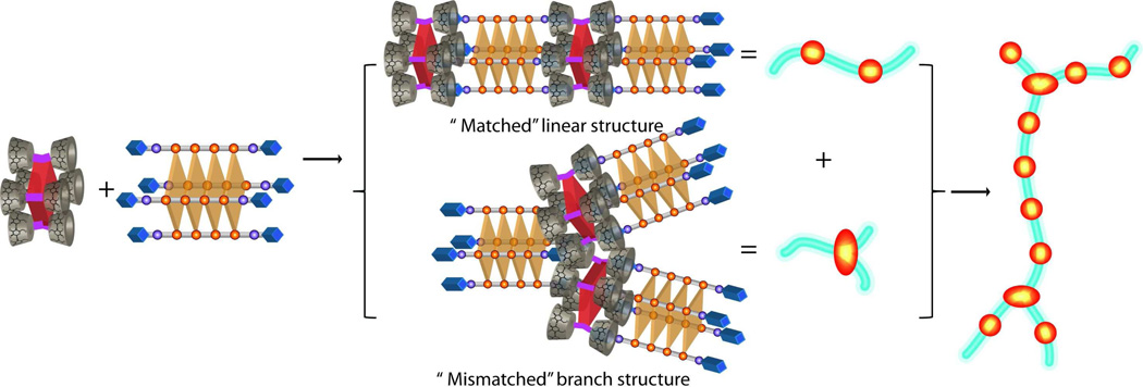 Scheme 2