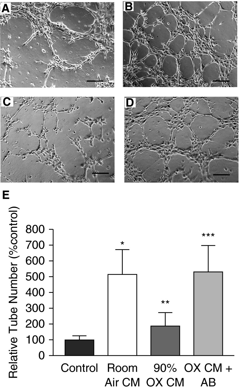 Figure 7.