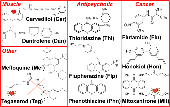 Figure 3