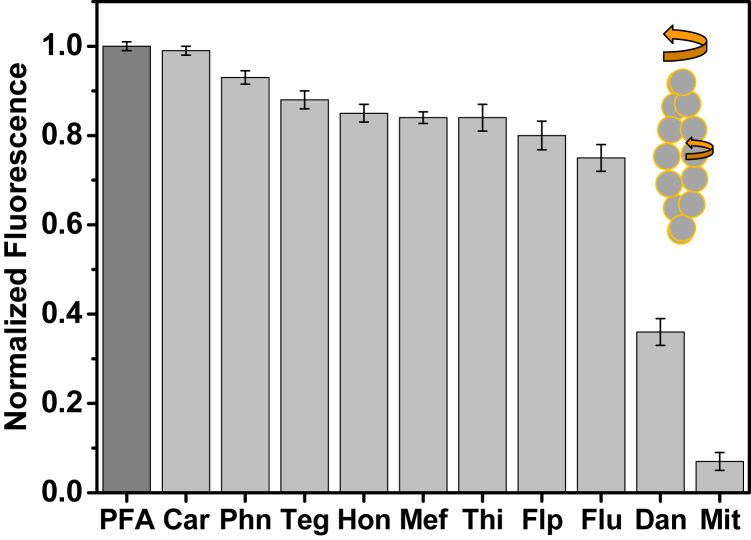 Figure 7