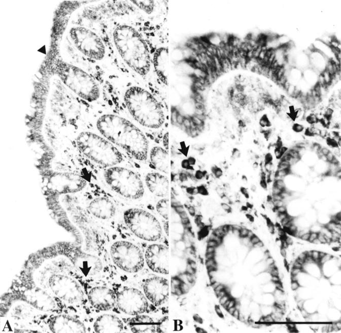 Figure 3  