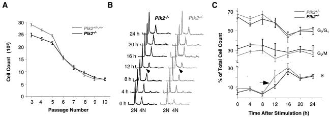 FIG. 5.