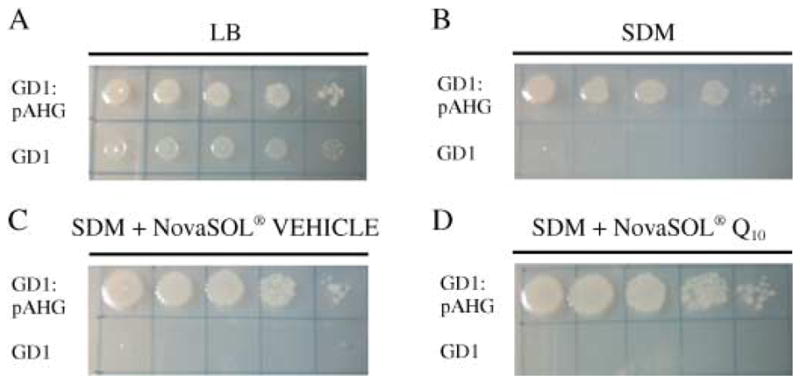 Fig. 2