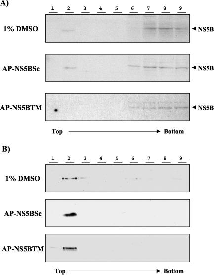 FIG. 4.