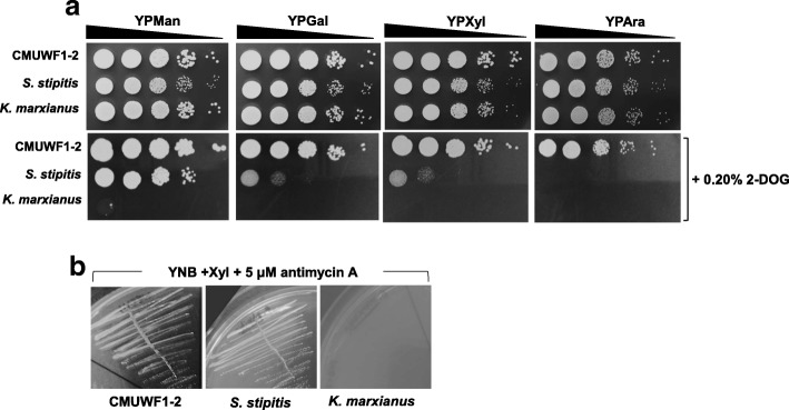 Fig. 4