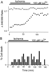 Fig. 11.