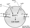 Fig. 14.