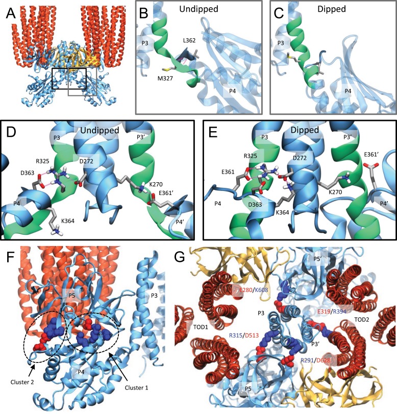 Fig. 4