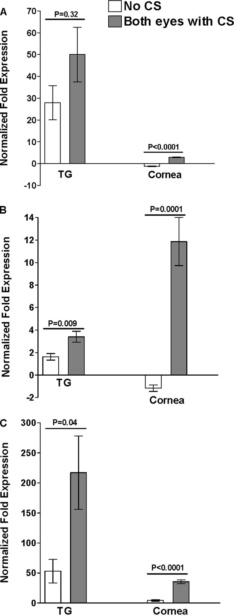 FIG. 3.