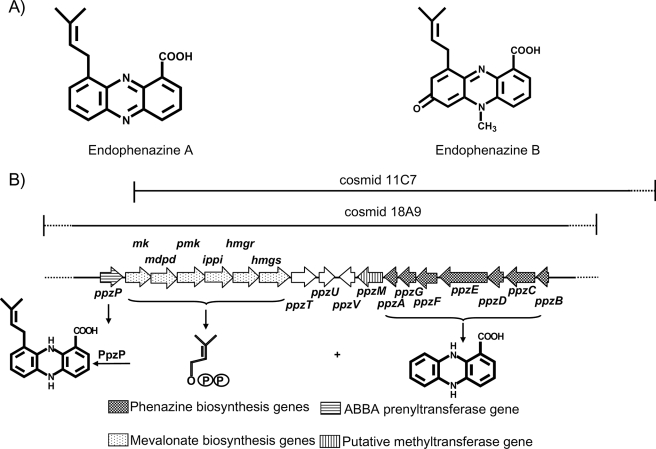 FIGURE 1.