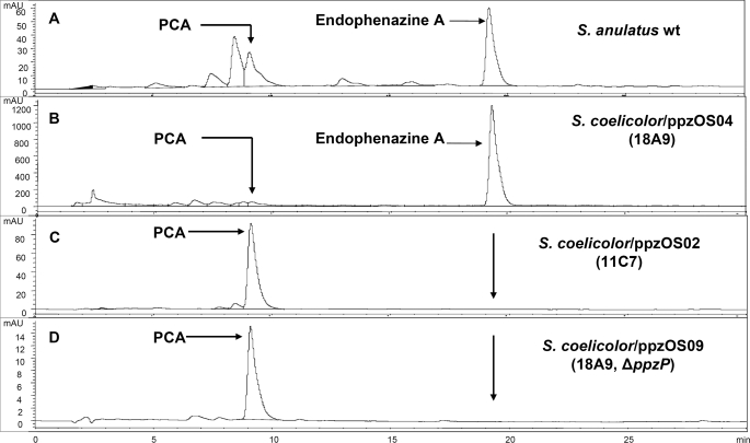 FIGURE 2.