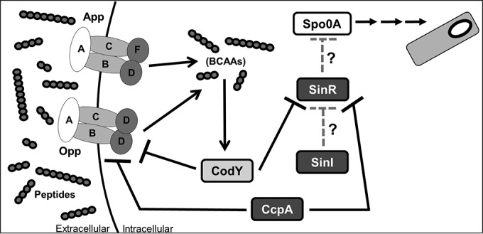 FIG 8