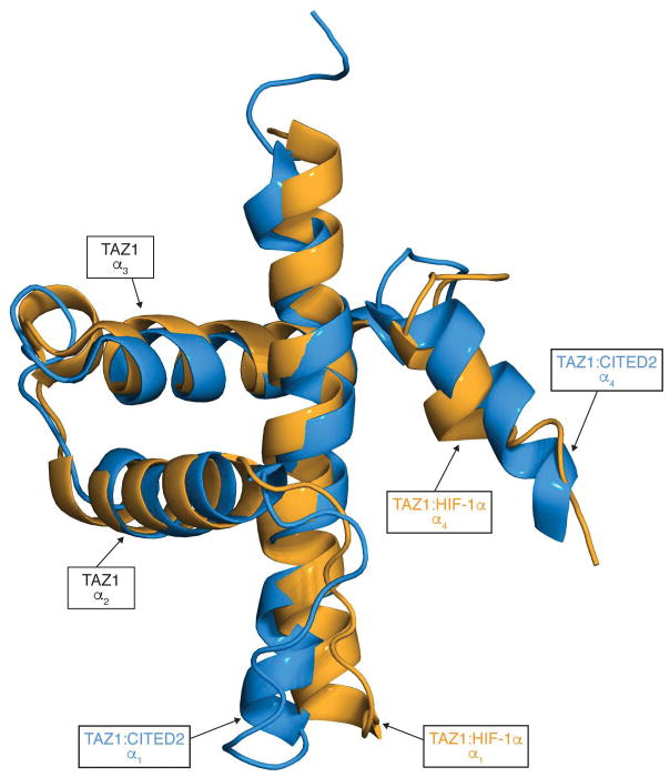 Extended Data Figure 10