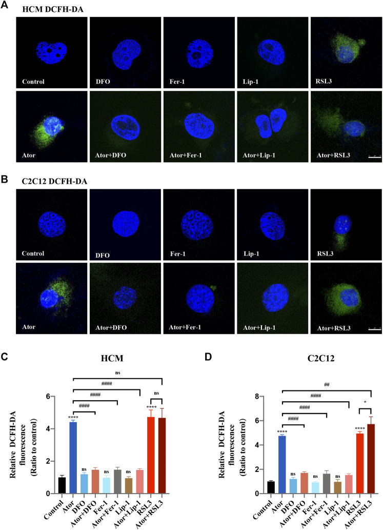 FIGURE 3