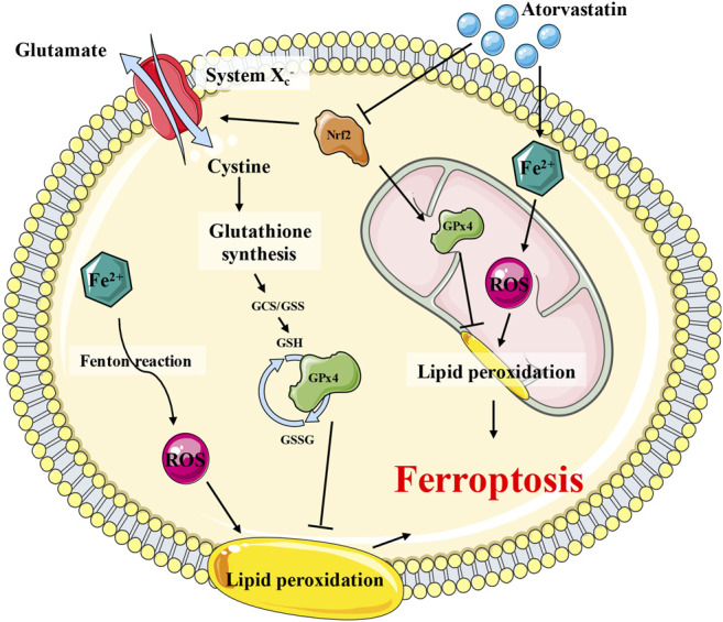 FIGURE 10