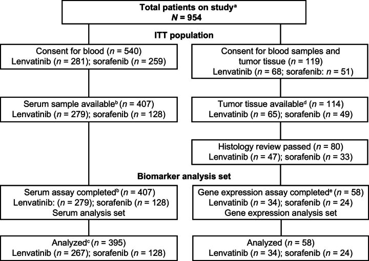 Figure 1. CONSORT diagram. aA total of 41.7% (n = 398) of patients in the overall study (n = 954) had tissue confirmation of HCC histology. In the overall study, 95.0% (n = 378) of patients who had tissue confirmation of HCC histology consented for tissue analyses. bFewer blood serum samples were obtained from the sorafenib arm until the clinical study protocol was amended to clarify that samples were to be collected uniformly across both arms. cBaseline samples were unavailable for 12 patients in the lenvatinib arm, who were therefore excluded from the correlation analyses. dOnly tissues available (n = 114) at the cutoff date for sample collection (July 15, 2016) were used for biomarker analyses. eSample sizes were decreased due to the insufficient amounts of DNA/RNA extracted from tumor tissues. HCC, hepatocellular carcinoma; ITT, intent-to-treat.