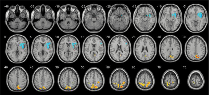 Fig. 3.