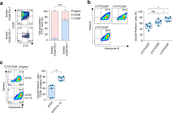 PD-1 blockade-unresponsive human tumor-infiltrating CD8+ T cells are ...