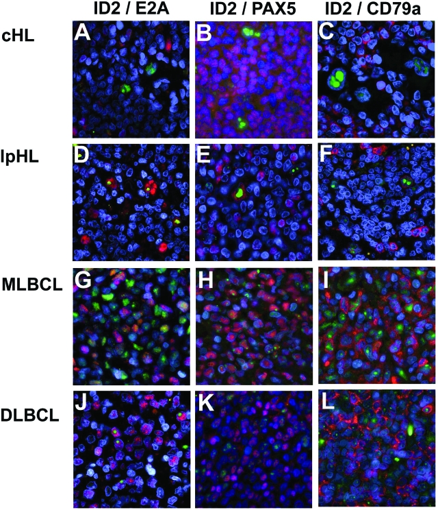 Figure 4-6920