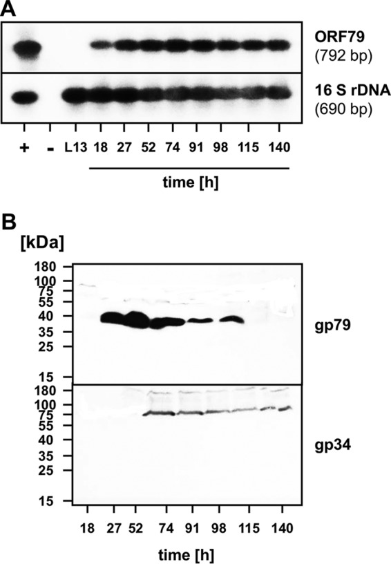 FIG 6